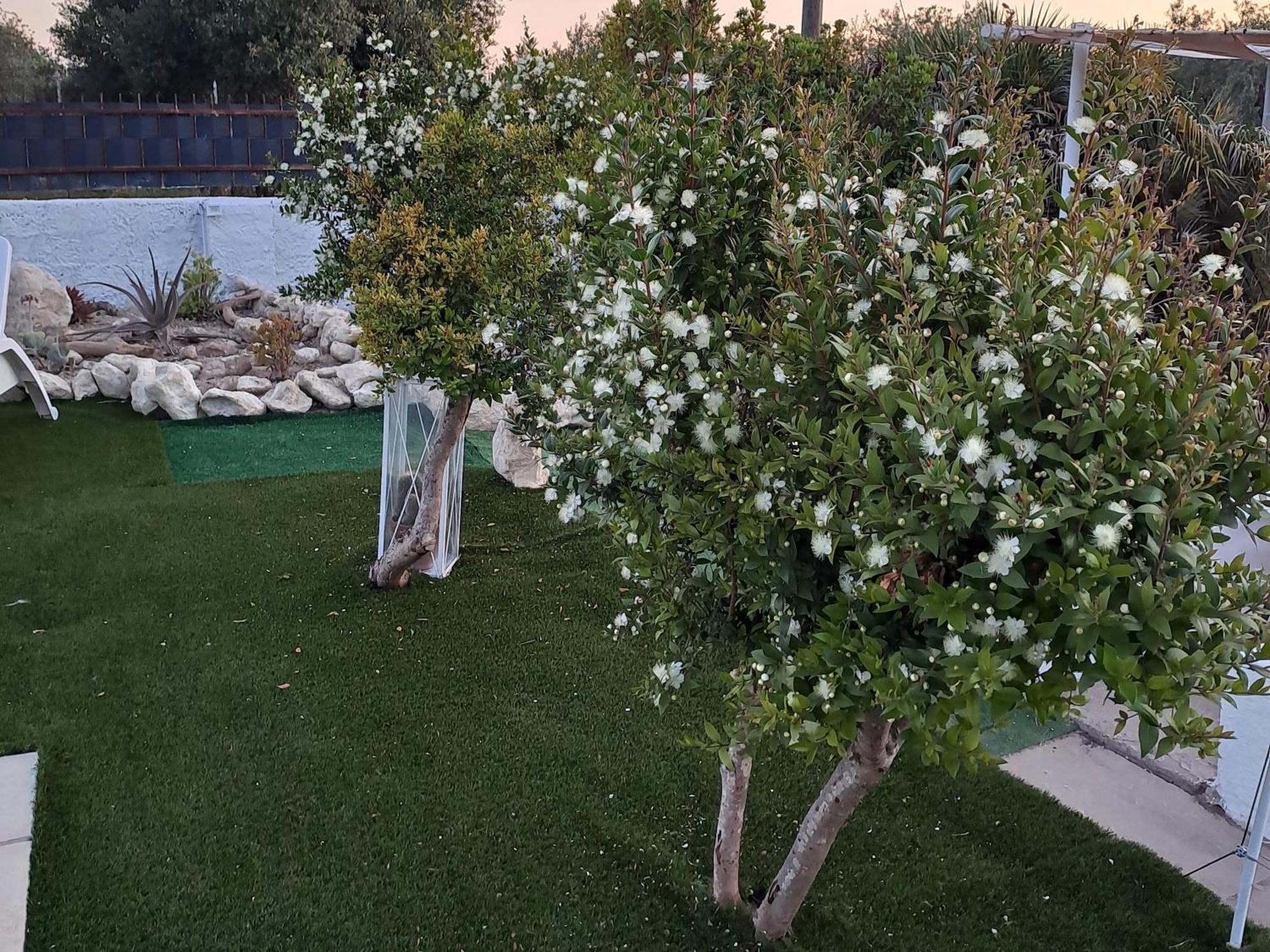 Villa Andres Sassari Exteriér fotografie